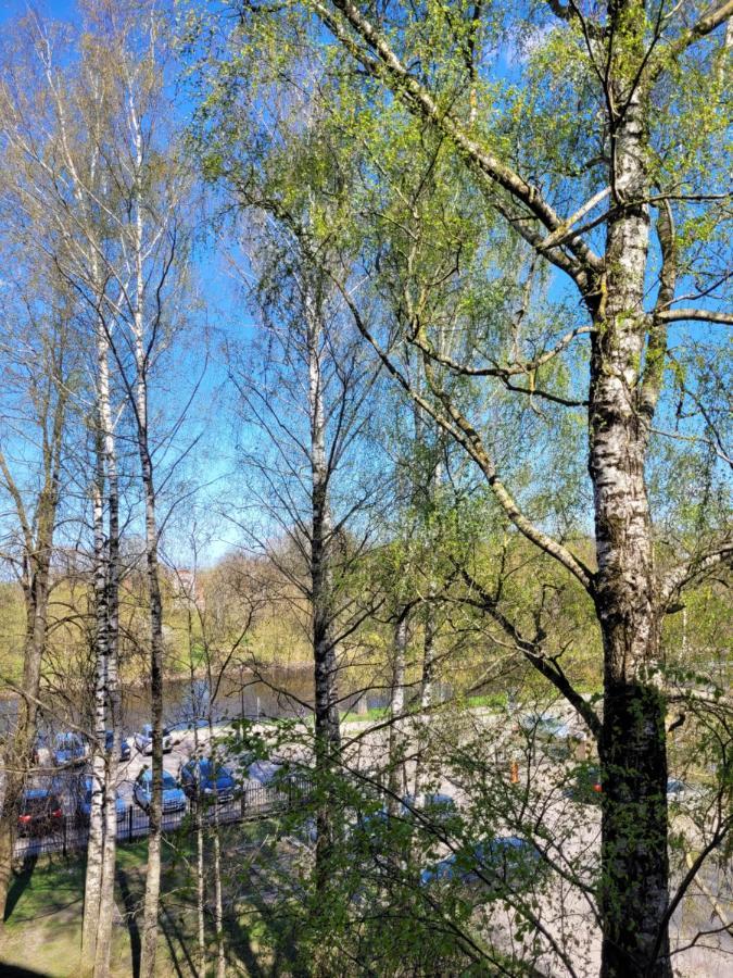 City Apartment Jelgava Bagian luar foto