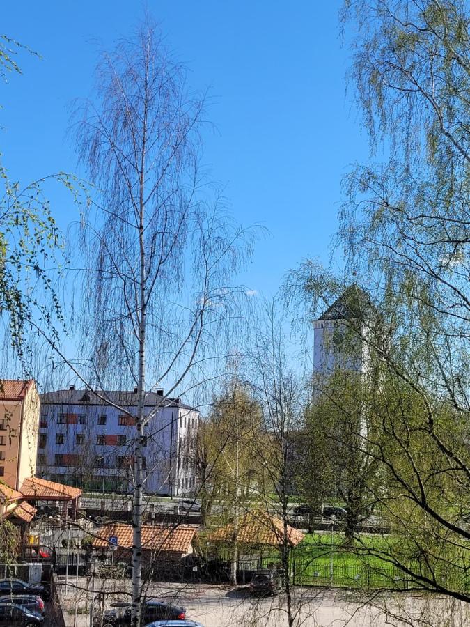 City Apartment Jelgava Bagian luar foto